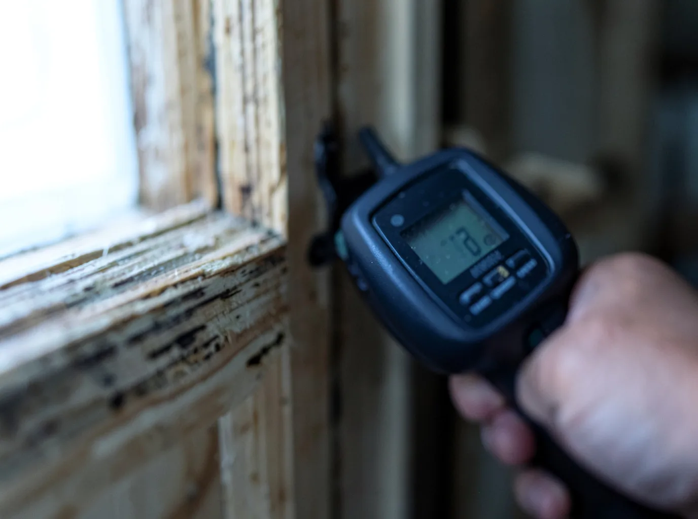Moisture Inspection And Documentation in The Rock, GA